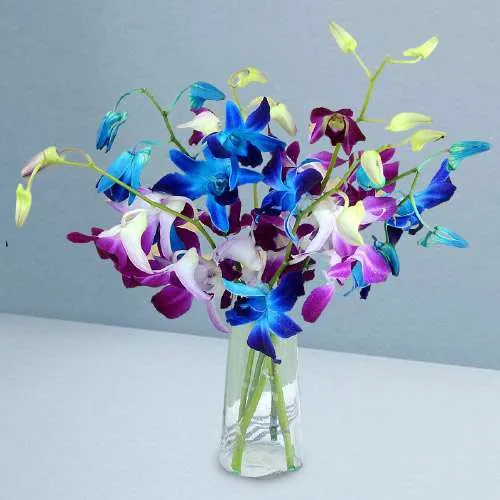Sensational Vase of Orchids