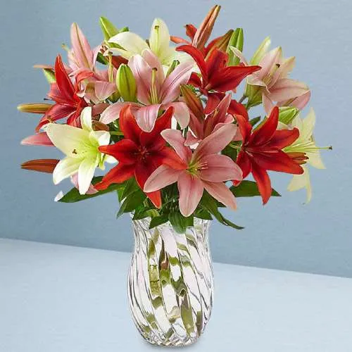 Mixed Lily Magnificence in Vase
