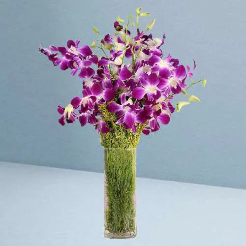 Enigmatic Purple Orchids in Vase