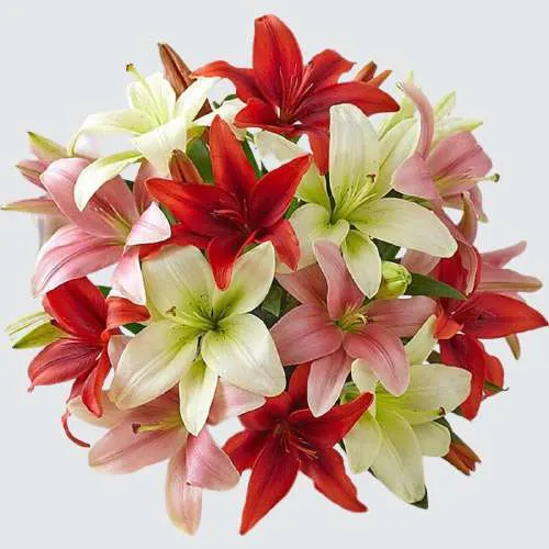 Designed to Impress Mixed Lilies Bouquet