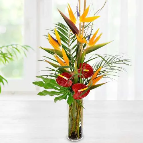 Splendid Vase of Birds of Paradise n Red Anthurium