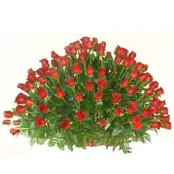 Expressive Assortment of 150 Dutch Roses in Red