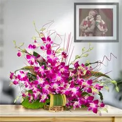 Divine 10 Fresh Orchids in a Beautiful Bouquet