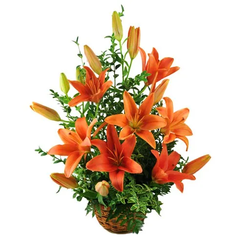 Cheerful Bouquet Of Lilies with Impressions of Love