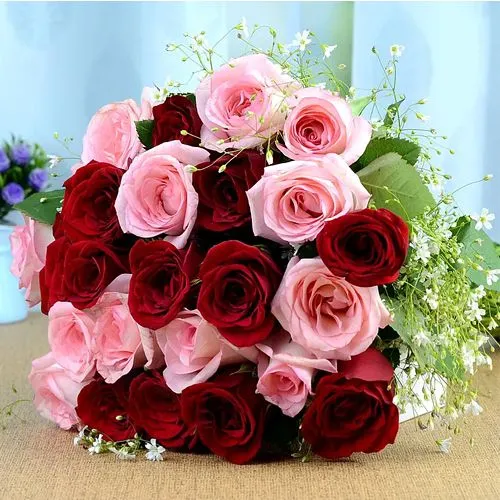 Mesmerizing Bouquet of Playful Pink N Red Roses	