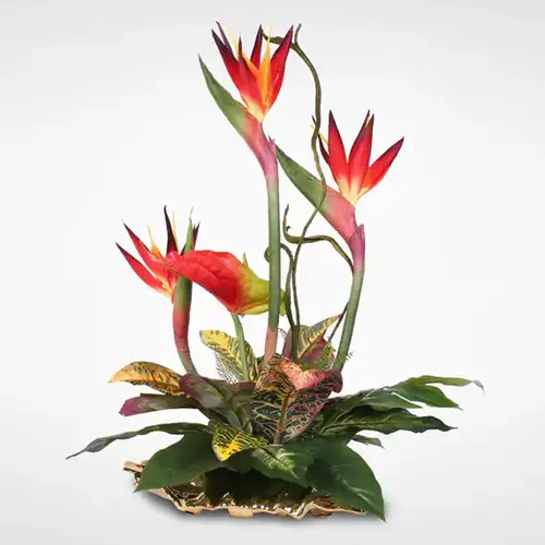 Magnificent Blend of Happiness Birds of Paradise and Anthuriums Arrangement