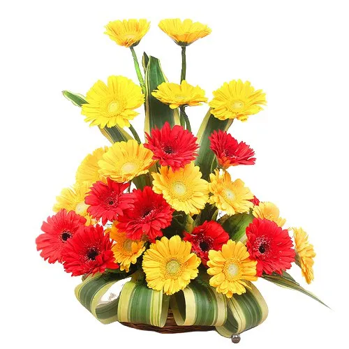 Touching Seasons Greetings 12 Mixed Roses in a Vase