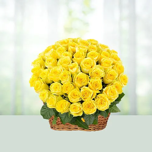 Heavenly Yellow Roses with Gypsophila in Basket Arrangement