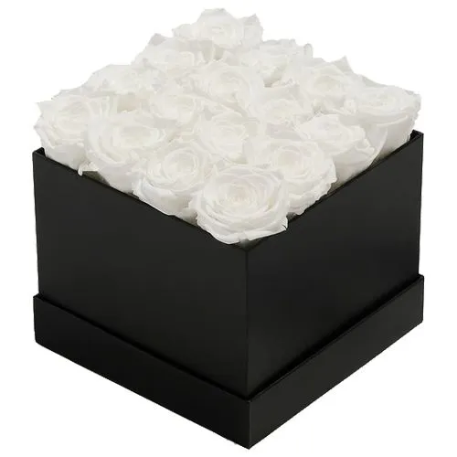 Black Box of Gentle Sentiment White Roses