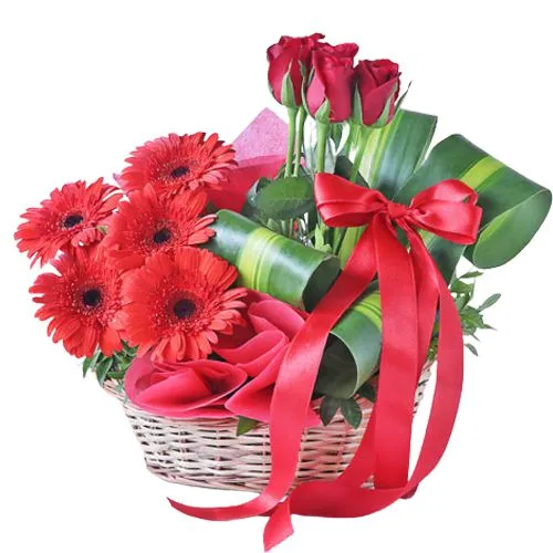 Beautiful Basket Arrangement of Red Gerberas N Roses
