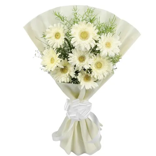 Graceful Bouquet of White Gerberas in Tissue Wrap
