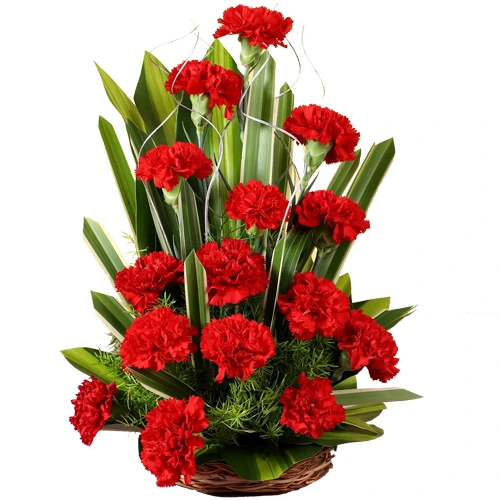 Sophisticated 18 Red Colored Carnations Bouquet