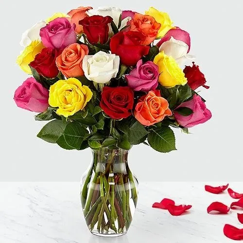 24 Mixed Roses in Vase- for the Wonder Women