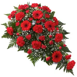 Flat Arrangement of 24 Red Flowers