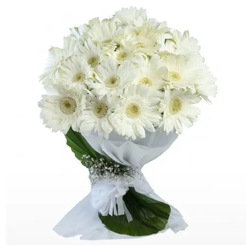 Graceful Arrangement of White Gerberas with Fillers