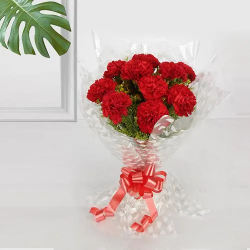 Enchanting Red Carnation Gift Bouquet
