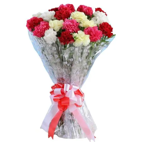 Expressive Mixed Carnations Arrangement <br><br>
