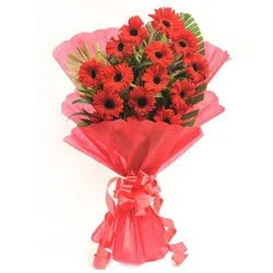 Magnificent Bunch of Gerberas in Red Colour