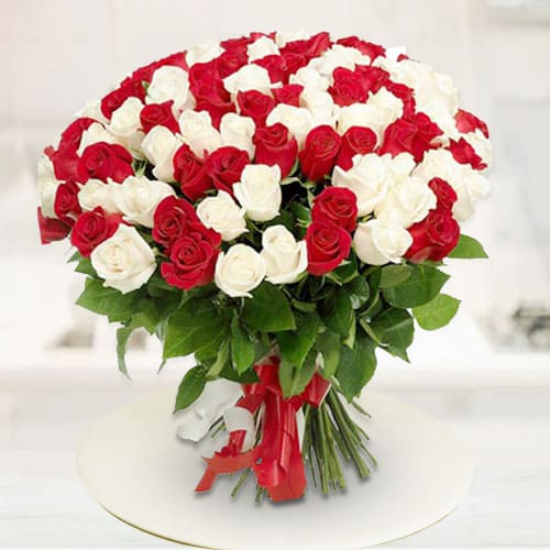 Heavenly Dazzle Red  N  White Roses Premium Bouquet