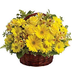 Colorful Pure Enchantment Yellow Flowers in a Basket
