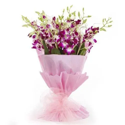 Vibrant Blooms Purple Orchid Stems Bunch