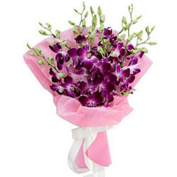 Favorite Collection 8 Orchid Stems Bouquet