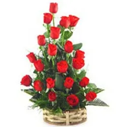 Brilliant Selection of Red Roses