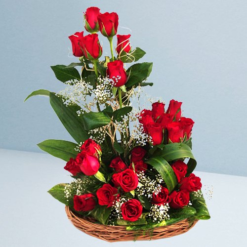 Flowering Basket Arrangement of 25 Dutch Red Roses