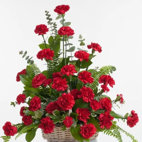 Passionate Full of Love Red Colour Carnations Arrangement