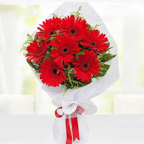 Precious Bloom Red Gerberas Bouquet