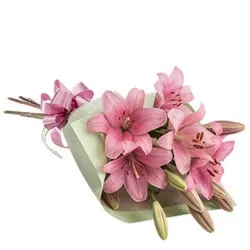 Sending Bouquet of Lilies