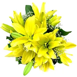 Shop for Yellow Lilies Bouquet for Anniversary