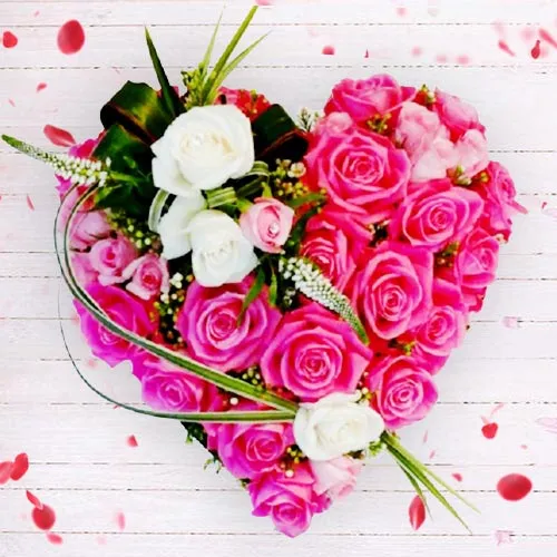 Designer Heart Shaped Arrangement of Pink N White Roses