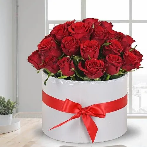 Classic Rose Day Special Gift of Red Roses Bucket