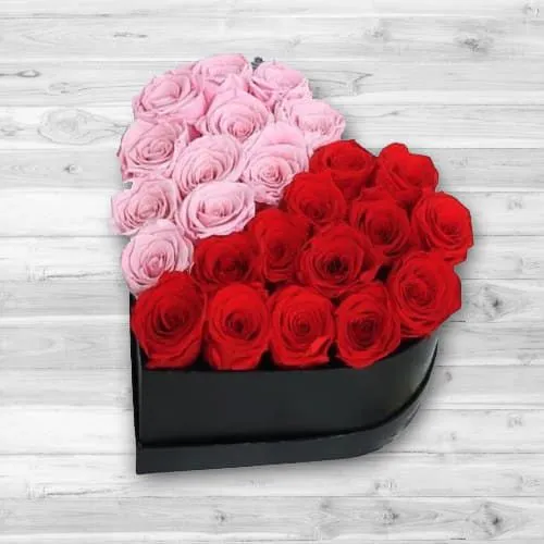 Alluring Pink n Red Roses Hearty Box