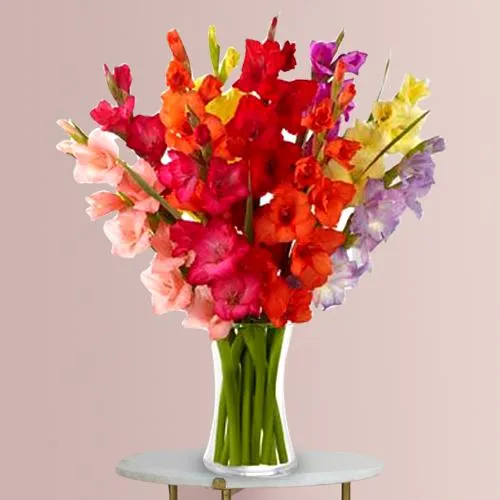 Striking Mix-Color Gladiolus in a Glass Vase