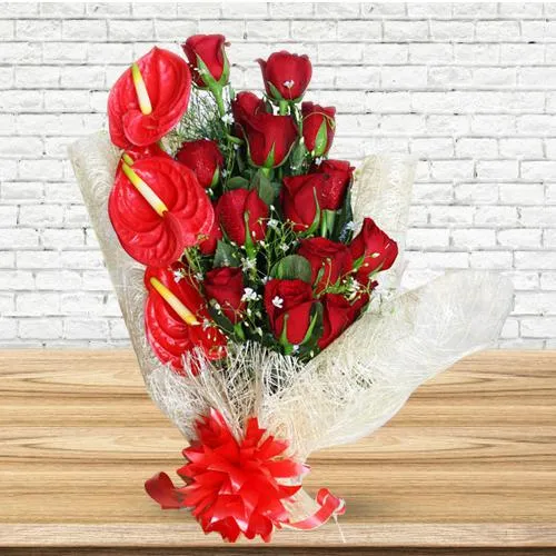 Mesmerizing Bunch of Red Roses N Anthodium with Tissue Wrap