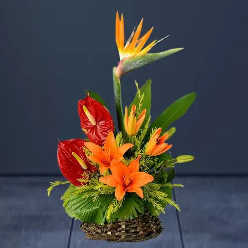 Brilliant Blooms Flowering Basket