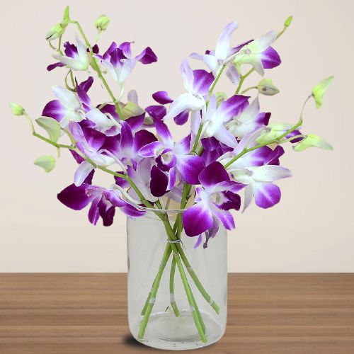 Blooming Love 6 Purple Orchids in Vase