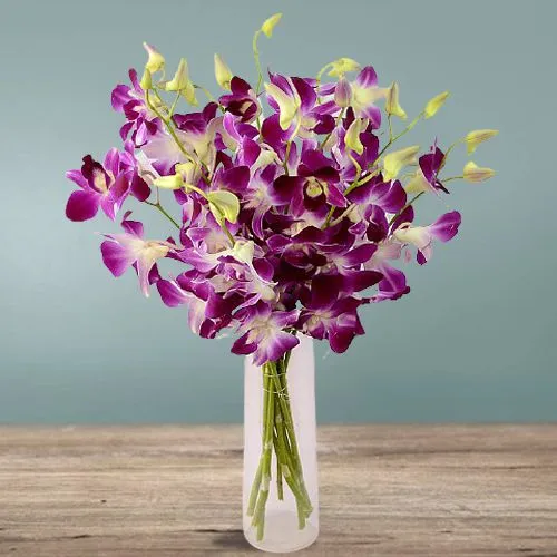 Lovely Vase filled with 12 Purple Orchids