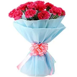 Shop for this ravishing Hand Bunch of Pink Carnations Online in tissue wrapping