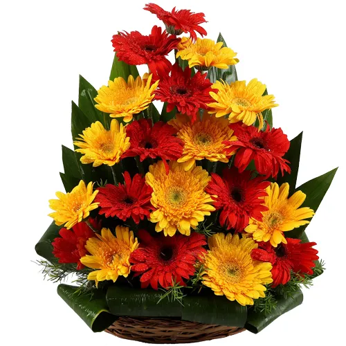 Majestic Table Top Arrangement of Yellow N Red Gerbera Flowers