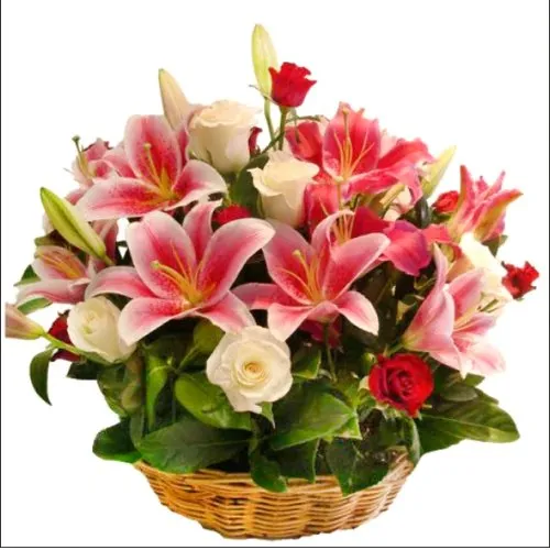Lovely Arrangement of Pink Roses with Pink Lilies
