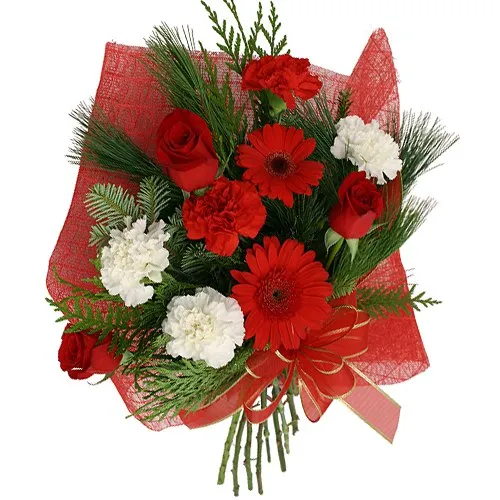 Enchanting Hand Bunch of Red Roses, Red Gerberas along with Red and White Carnations