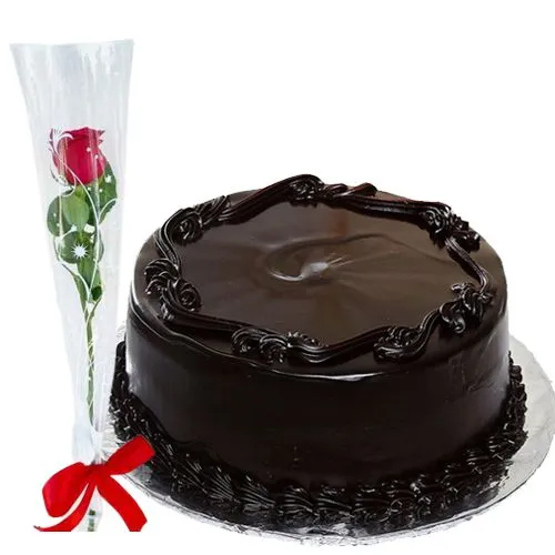 1 lb Chocolate Cake with 1 Rose
