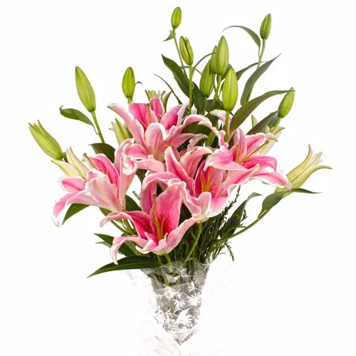 Bouquet of 6 Asiatic Pink Lily Stems