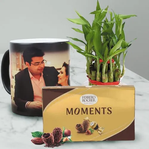 Lucky Bamboo Plant with Ferrero Rocher n Personalized Photo Magic Mug