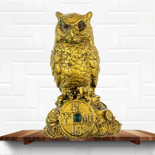 Outstanding Feng Shui Owl Showpiece for Money and Wisdom