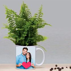 Decorative Gift of Bostern Fern Plant in a Coffee Mug