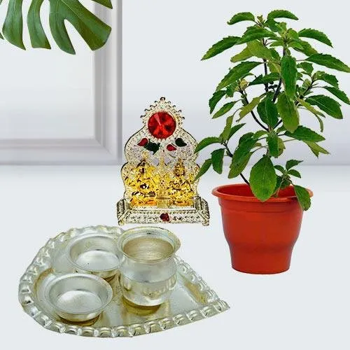 Appealing Gift of Tulsi Plant with Ganesh Laxmi Mandap N Puja Thali